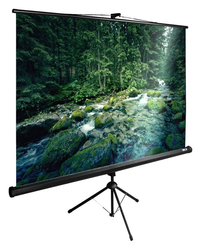 

Экран Cactus CS-PSTE-220X165-BK 4:3 напольный рулонный, CS-PSTE-220X165-BK