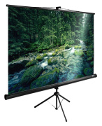 фото Экран Cactus CS-PSTE-220X165-BK
