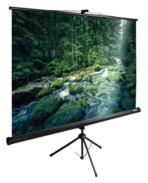 фото Экран  Cactus CS-PSTE-220X165-BK в Волгограде