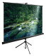 фото Экран  Cactus CS-PSTE-220X165-BK в Волгограде