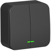 фото Выключатель Systeme Electric BLNVA105116