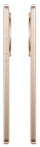 фото Смартфон  Realme 13+ 5G (12+256) в Перми