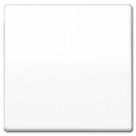 Изображение товара Клавиша Jung AS591WW