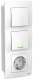 фото Розетка  Systeme Electric BLNBS101111 в Омске