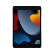 фото Планшет Apple iPad 2021 Wi-Fi + Cellular 256GB - Space Grey