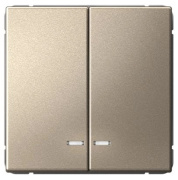 фото Выключатель двухклавишный  Systeme Electric GAL000551