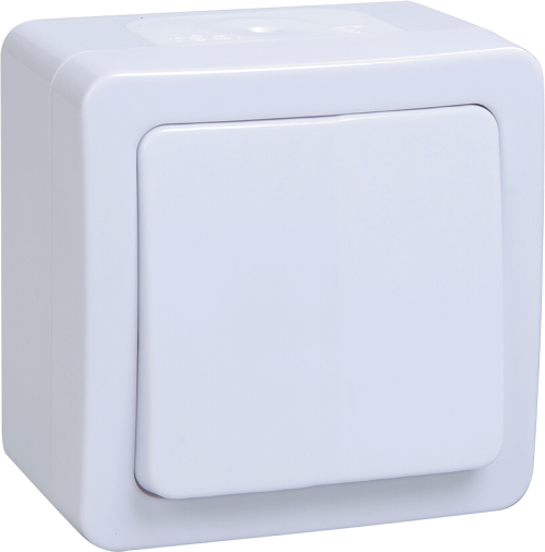 

Выключатель IEK EVMP12-K01-10-54-EC ВСп20-1-0-ГПБ 1кл проход. о/у IP54 (цвет клавиш: белый) ГЕРМЕС PLUS, EVMP12-K01-10-54-EC