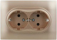 фото Розетка двухместная с заземлением в сборе IEK SK-R24-16-K98-F