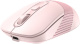 фото Мышь Wireless A4Tech Fstyler FB10CS в Уфе