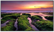 фото Панель Samsung QB75B