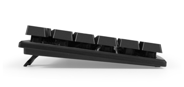 фото Комплект  Exegate Professional Standard Combo MK110-OEM в Омске