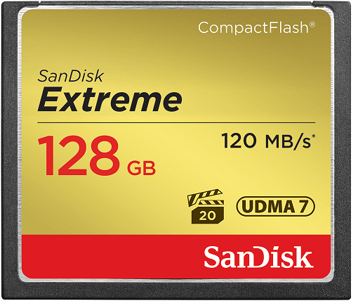 фото Карта памяти CompactFlash 128GB SanDisk SDCFXSB-128G-G46 в Самаре