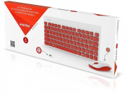 фото Клавиатура и мышь SmartBuy 220349AG