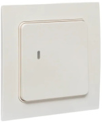 фото Выключатель EKF RCV-ST1-WS-ZB