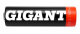 фото Аккумулятор Gigant G-AA2600-12