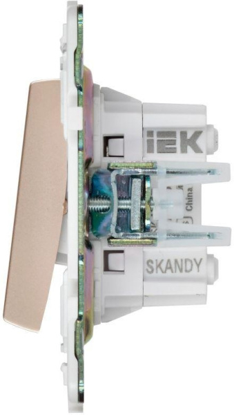 фото Переключатель двухклавишный  IEK SK-V23-0-10-K98 в Волгограде