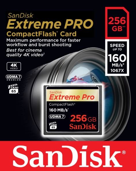 фото Карта памяти CompactFlash 256GB SanDisk SDCFXPS-256G-X46 в Омске