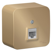 фото Розетка Systeme Electric BLNIA011004