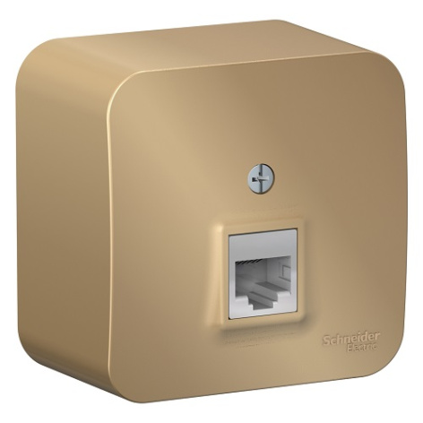 фото Розетка  Systeme Electric BLNIA011004 в Самаре