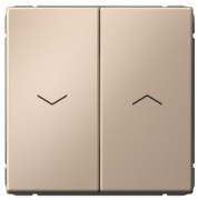 фото Выключатель двухклавишный Systeme Electric GAL001219S