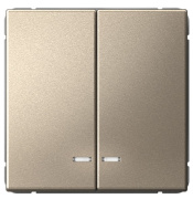фото Выключатель двухклавишный с подсветкой Systeme Electric GAL000553S