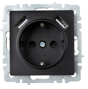 фото Розетка с заземлением IEK BR-R14-16-U21-D31-K02