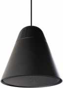 фото Акустическая система BIAMP P30DT-BL
