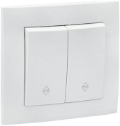 фото Переключатель двухклавишный EKF EWV10-027-10