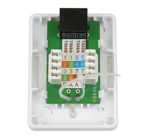 фото Розетка  Cabeus WS-8P8C-Cat.5e-1 в Красноярске