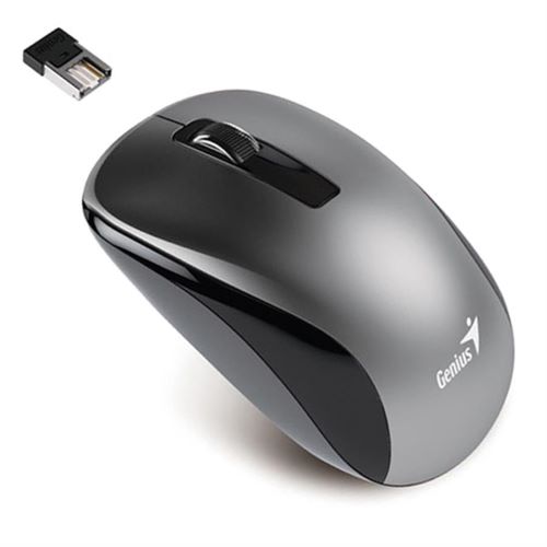 

Мышь Wireless Genius NX-7010 31030018405 Gray, 2.4GHz, BlueEye 1200 dpi, 1xAA, NX-7010