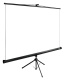 фото Экран  Cactus CS-PSTE-220X220-BK в Самаре