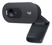 фото Веб-камера Logitech C505e HD Webcam