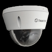 фото Видеокамера Tantos TSi-Veco45FP
