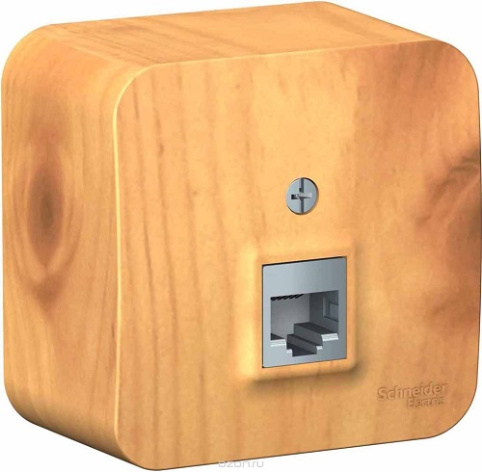 фото Розетка  Systeme Electric BLNIA011005 в Омске