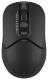 фото Мышь Wireless A4Tech Fstyler FB12 в Уфе