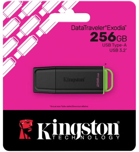 фото Накопитель USB 3.2 256GB Kingston DTXG2/256GB
