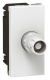 фото Розетка  Legrand 078758 в Волгограде