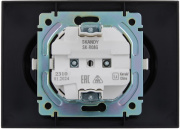 фото Розетка двухместная с заземлением IEK SK-R21-16-K53-F