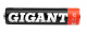 фото Аккумулятор Gigant G-AAA1000-4