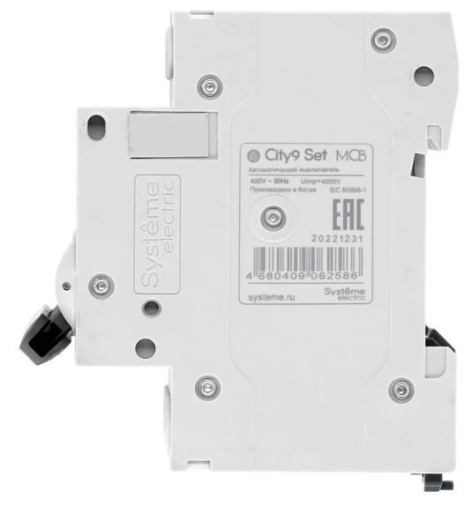 фото Автоматический выключатель  Systeme Electric C9F34416 в Казани