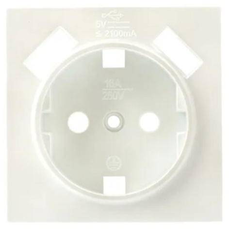 фото Накладка розетки с заземлением с 2 USB  EKF ESR16-L-028-50-2USB в Омске