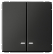 фото Выключатель двухклавишный с подсветкой Systeme Electric GAL001453S