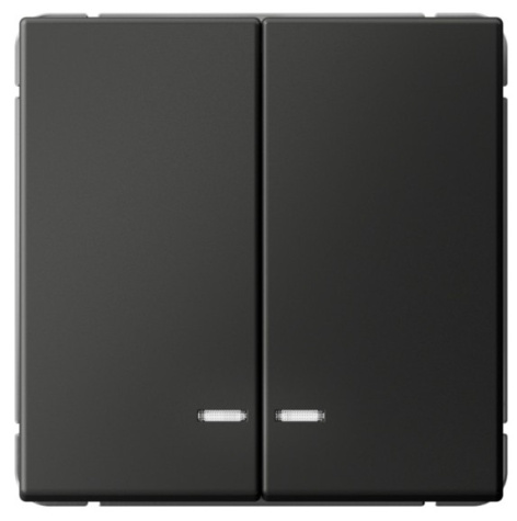 фото Выключатель двухклавишный с подсветкой  Systeme Electric GAL001453S в Омске