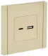 фото Розетка USB  IEK FP-U22-D31-K10 в Казани