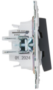 фото Выключатель двухклавишный  IEK SK-V20-0-10-K53