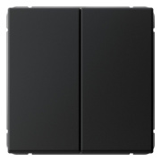фото Переключатель двухклавишный Systeme Electric GAL001065