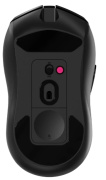 фото Мышь Rapoo V300L
