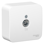 фото Розетка Systeme Electric BLNTA000011