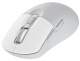 фото Мышь wireless Rapoo M308 в Казани
