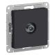 фото Розетка  Systeme Electric ATN001091 в Екатеринбурге